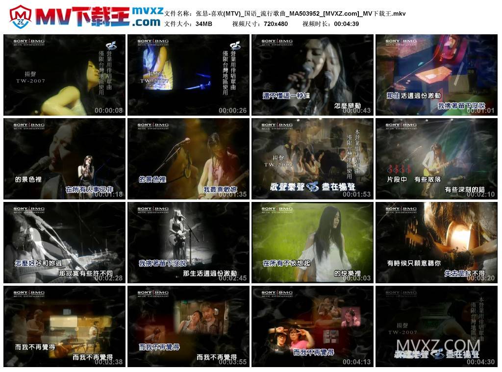 张悬-喜欢(MTV)_国语_流行歌曲_MA503952